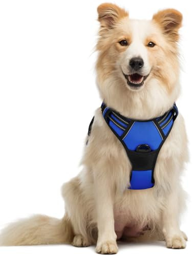 rabbitgoo Hundegeschirr Mittelgroße Hunde Anti Zug mit Griff, M, Blau | No Pull & Individuell Anpassbar, Atmungsaktiv Gepolstert, 2 D-Ringe, Schnellverschlüsse, Reflektierend für Gassi & Training