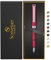 Scriveiner Luxury EDC Fountain Pen (Fine), Stunning Matt Red with Chrome Finish, Schmidt German Nib, Converter, Best Writing Gift Set for Men & Women, Nice Fancy Office Designer Pocket Pen