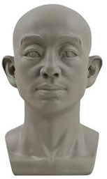 Planarkopfmodell für Künstler lernen Ebenen des Gesichts, Standard-Planarkopf, männliches Kopfmodell, menschliches Manikin-Kopfmodell für Künstler, Zeichnen, Skecthing, Malerei