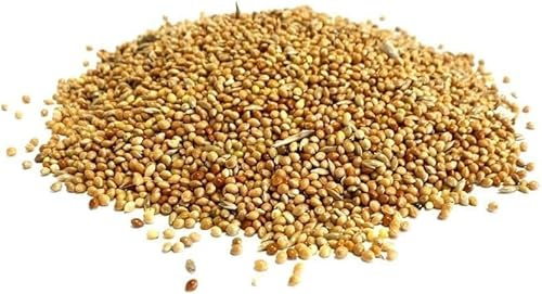 5 Litre Refill Bag Budgie Seed Mixed Cage & Aviary Bird Food (approx weight 3kg)