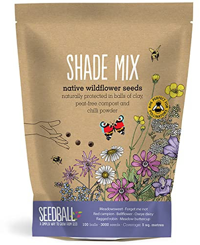 SEEDBALL Shade Mix Seed Bombs (Grab Bag) – 100 Seed Balls Per Pack | British Wildflower Seeds for Shady Areas - Clay Seed Bomb Designed for Planting in Areas of Dappled Sun and Shade