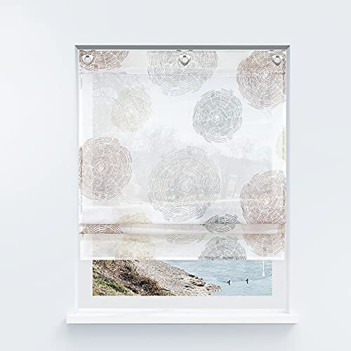 Yujiao Mao Voile Raffrollo ohne Bohren mit Kreise Druck Design Ösenrollo Raffrollos mit Hakenaufhängung Transparenter Vorhang Kaffee BxH 100x140cm 1 Stück