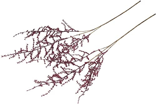 künstlicher Asparaguszweig (Weihnachts- und Dekozweig), Farbe: Burgund (2 Stück)