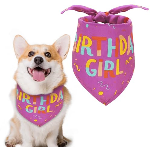 Bandana d'anniversaire pour Chien - Foulard Triangulaire pour Chien, Fournitures de fête pour Animaux de Compagnie pour Chiens et Chats de Petite et Moyenne Taille (Violet)