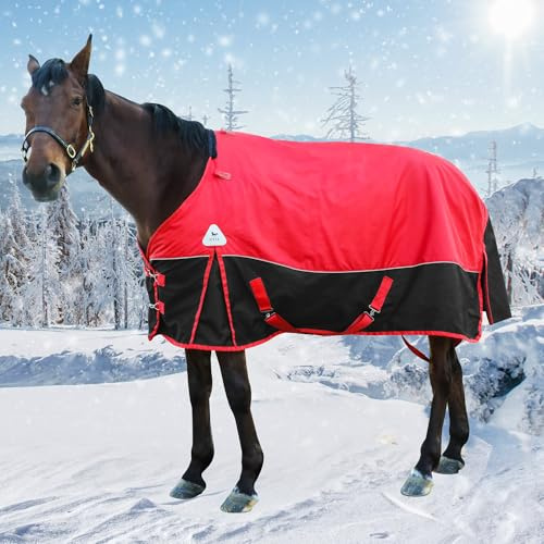 Couverture d'hiver 1600D de qualité supérieure pour soins du cheval - Couverture imperméable de poids moyen avec housse de cou amovible (145 cm) sans housse