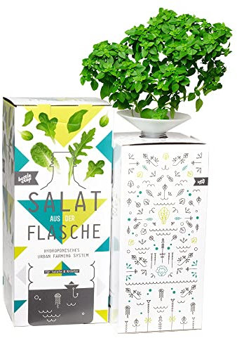 Dresden Onlineshop Bottlecrop Salat aus der Flasche | Anzuchtsystem Urban Farming Set für zu Hause (Kleinblättriges Basilikum, Starterset)