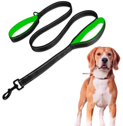 Edipets, Grande Sangle pour Chien avec Double poignée rembourrée, réfléchissante, 1,8 m, antidérapante, pour Chiens Moyens et Grands (Bleu/Vert)