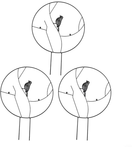 Lot de 3 supports de plantes grimpantes avec cadre en fer en forme d'oiseau pour soutenir les vignes, les fleurs et les plantes grimpantes
