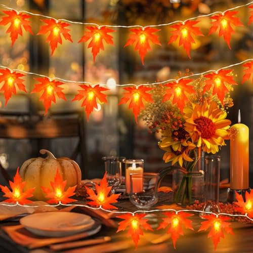 Etopgo Autumn Decoration Lights,3M20 LED Fall Maple Leaf Fairy Lights with 6hTimer,Battery Operated Autumn Leaf String Lights for Halloween,Autumn Festival,Christmas Indoor/Outdoor Decorations