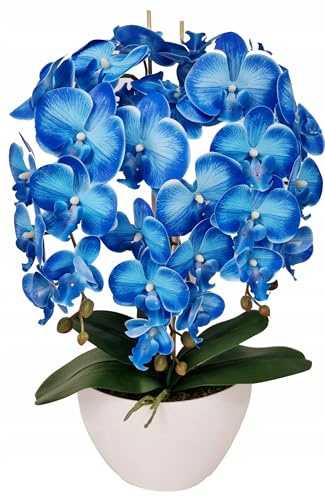 Generisch Künstliche Orchidee blau – 3 Triebe & 10 Gummiblüten – wie echt – 60 cm – täuschend echte Kunstpflanze in eleganter weißer Schale – Deko für Wohnzimmer, Büro, Geschenk