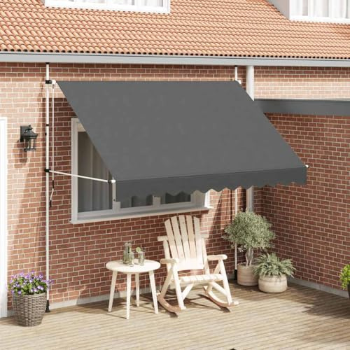 Paravent Exterieur, Auvent Manuel rétractable 300 cm Anthracite, Brise Vue Balcon pour Balcon, terrasse et Jardin