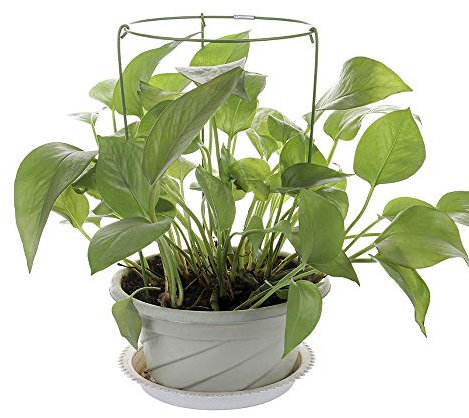 LAMF 3 x Pflanzenstützkäfige für Topfpflanzen, strapazierfähig, zum Durchwachsen von Blumen und Pflanzen, runde Pflanzenstützen