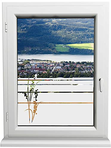 INDIGOS UG - Glasdekorfolie - Traubenhyazinthe - Sonnenschutz H50Line - Sichtschutzfolie - Fensterfolie - für die Küche, Bad ans Fenster, Sichtschutz - selbstklebend - matt
