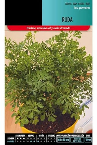 Semillas de Ruda para Infusiones y Protección Ruta Aromática