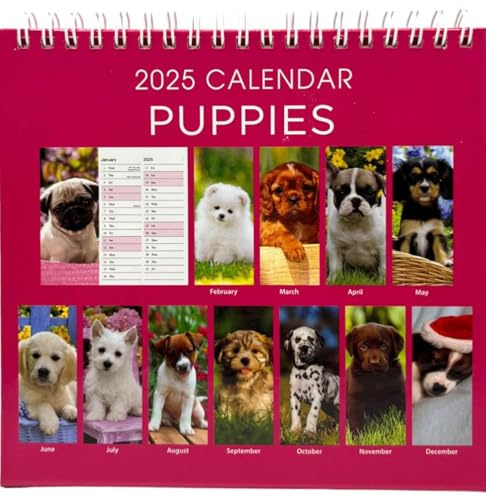 PaulStore 2026 Month to View Desktop Calendar Home Office Table Work Top Planner Organiser (Puppy)