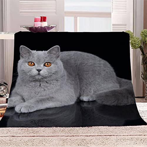 Kuscheldecke bettüberwurf wohndecke Britische Katze 3D Effekt Extra Weich Flanelldecke TV Decke 130x150 Schwarze Süße Katze Waschbar Sofadecke Wohnzimmerdecke Couchdecke mit Muster für Teenager
