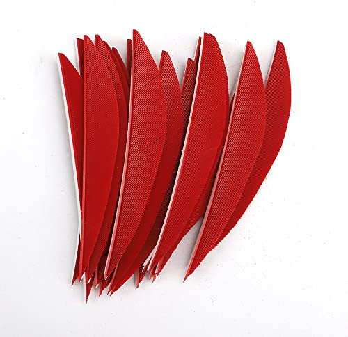 ACCMOS 3 Bogenschießen Befiederung für Pfeile, Banane Shape Pfeilfedern Jagdpfeil Flügel Truthahn Feder DIY Pfeil Accessoire 50 St