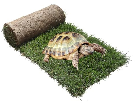 Ricarica S Tartarughe 60x40cm - Terrario tartarughe di terra in vero prato naturale, Ricambio facile da sostituire per il Kit S, casetta per tartarughe da interno dura fino a 5 mesi