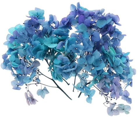 PATIKIL Fleur D'Hortensia Séchée, 10g Fleurs Naturelles Pressées Pétales D'Hortensias Réels DIY Résine Artisanat Floral Bougies, Dégradé Bleu Violet