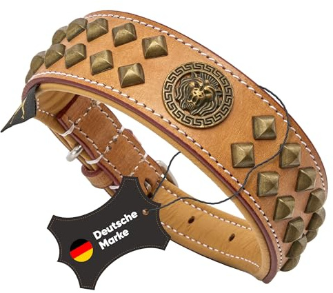 MICHUR Diego Hundehalsband Leder Beige | Lederhalsband Hund, mit Löwenkopf Applikation, Nieten, Braun Beige Gold, Leder