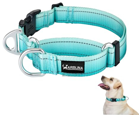 Arblina Martingale halsband, reflekterande dragstopp halsband hundar för stora medelstora och små hundar, nylon hundhalsband anti-drag, anti-draghalsband för hundar, turkos, L