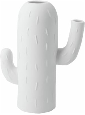 Vaso cactus colonnare