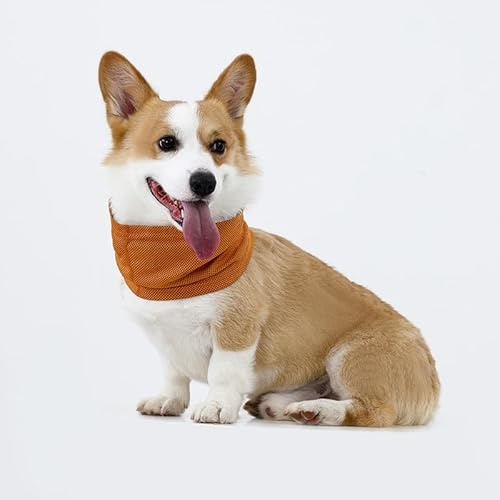 Nvzi Orange M Size Pet Cooling Bandana Collar Dog Cooling Bandana Cat Cooling Collar, Breathable Scarf for Summer- 1 Piece