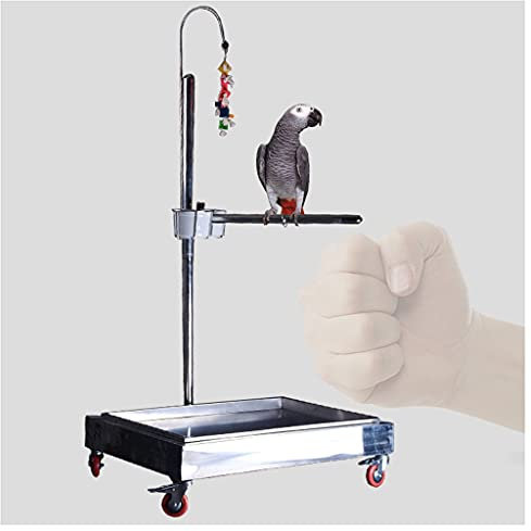 Vogelkäfig/Vogelkäfige Luxus-Edelstahl-Papagei-Sieben-förmiges Regal anliebbar großer und mittlerer Papageiständer mit Bremsparrot-Vogelregal-Vogelversorgung Vogelkäfig Vogelvoliere Vogelhaus ( Color