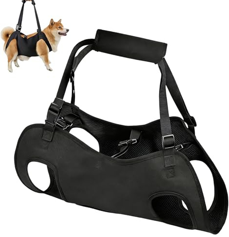 Aide au transport pour chiens blessés et âgés - Ceinture de soutien pour chiens souffrant d'arthrite, d'opération ou à mobilité réduite - Aide de transport rembourrée pour un transport sans mal de dos