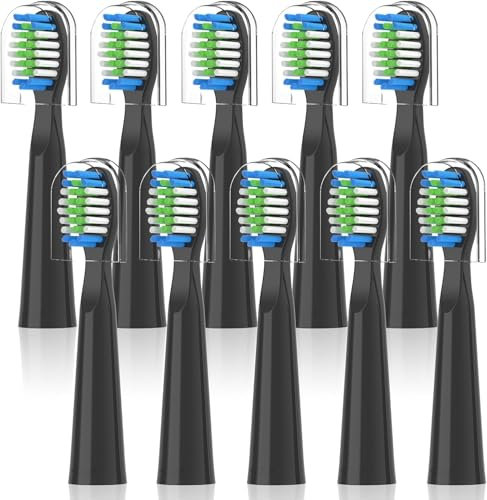 Confezione da 10 spazzole di ricambio compatibili con Bitvae D2, testine di ricambio per spazzolino elettrico, testine di ricambio compatibili con Bitvae Daily D2 (nero)