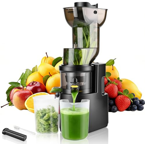 Rawhui Extracteur de jus 500W,Extracteur de jus de Fruits et Légumes avec Fonction Inverse,Grande Ouverture de 98mm Slow Juicer,Taux d'extraction pouvant atteindre 98%,2 Récipients,Sans BPA