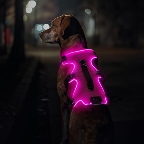Jewyow Hundegeschirr Leuchtend, Wiederaufladbare LED Hundegeschirr, Led Geschirr für Hunde mit Weicher Griff, 3 Einstellbare Modus, Wasserdicht für Mittelgroße, Große Hund Pink-M