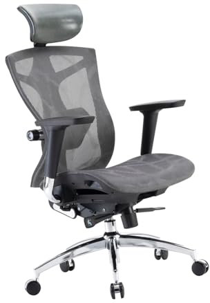 SIHOO M59AS Ergonomischer Bürostuhl mit 3D-koordinierbaren, hochklappbaren Armlehnen, Doppelsitzlehnen-Design und adaptiver Lendenwirbelstütze, Mesh-Schreibtischstuhl für das Homeoffice (Schwarz)