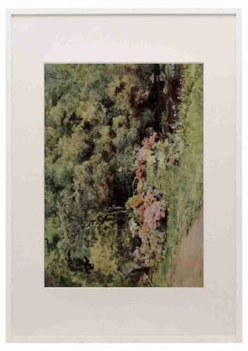 Tyndale Walter 1855 1943 Azaleas in Temple Garden Kyoto Japanese Gardens 1912 A