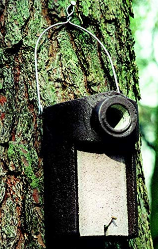 Schwegler Naturschutzprodukt Star Nistkasten Satz 2 Stück Nisthöhle Starenhöhle Typ 3SV Flugloch Durchmesser 45 mm mit Marderschutz aus Holzbeton Höhe 28 cm