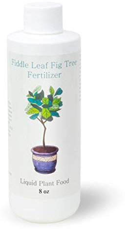 Fiddle Leaf Fig Tree Food | Ficus Plant Food | Improves Leaves and Branches | Potted Indoor Trees/House Plants Treatment by Plants for Pets