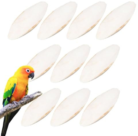 Vogel-Cuttlebone Sepiaschale Tintenfisch Sepia Knochen Kauspielzeug, 10 Stück Sepiaschalen Vögel Kauen Spielzeug Papageien Kauspielzeug Tintenfische Sepia Knochen Für Schildkröten