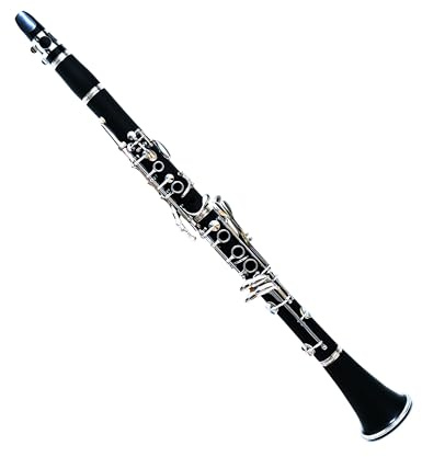 Deloitte Bb Clarinet, ABS, Nickel Plated, DCL-225, Professional Clarinet for Beginner, with Hand Case Bag and Cleaning Kit
