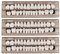 Dents Artificielles, 3 pièces Fausse Dent, Fausse Dent Naturel a Poser, Dents, Resine Dentaire, Couvre Dent Artificielle pour Soins bucco-dentaires Dentaire Cosmétique Sourire Dents