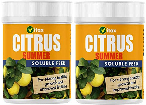 Wolvercroft Garden Centre Vitax Citrus Summer Feed (200g) X 2