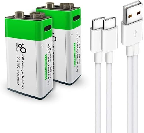Yangers Confezione da 2 batterie Ricaricabili agli ioni di Litio PP3 6F22 9 V 650 mAh con Doppio Caricatore USB C per rilevatori di Fumo, Microfono, multimetri, giocattol
