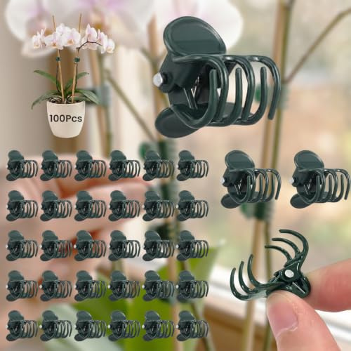100PCS Robust Pflanzen Clips für Orchideen - Aufklappen 180° Ohne Brechen | Kunststoff Bietet Phalaenopsis-Orchideen festen Halt für ihr aufrechtes Wachstum - Dunkelgrün