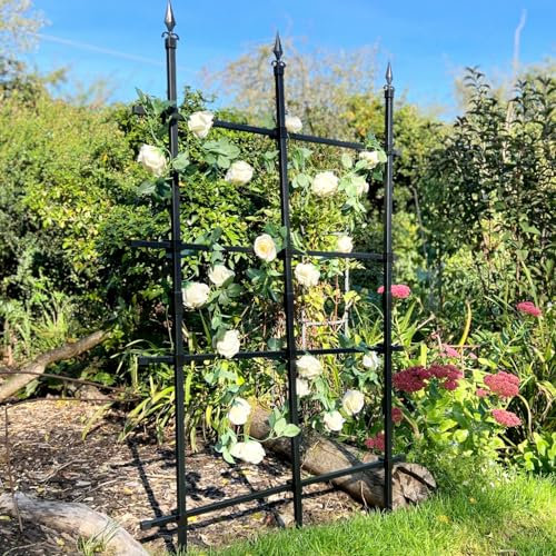 GardenSkill Garden Trellis for Climbing Plants | Metal Rose Fence Free Standing Screen for Borders Edging Plant Support Flower Clematis Vines | Rust-Proof Easy Build Panel (Black, 180x180cm High)
