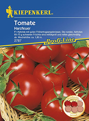 Kiepenkerl Tomaten Harzfeuer, F1