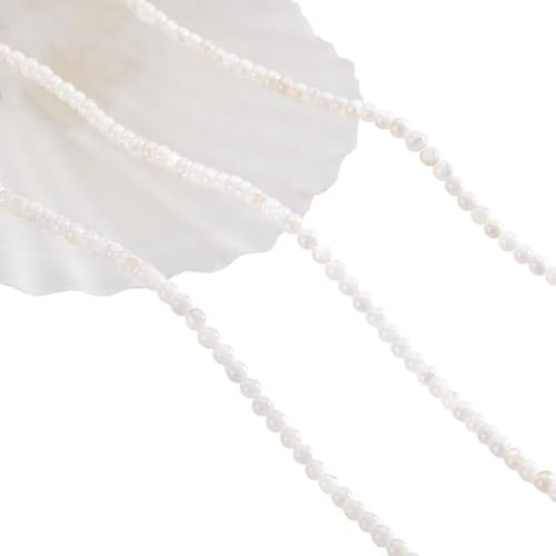 NBEADS Circa 360pz Perline Naturali di Conchiglia D'Acqua Dolce, 2.5 mm Fili di Perle Bianche Floreali Perline Sciolte Rotonde per La Creazione di Gioielli, Foro: 0.7 mm