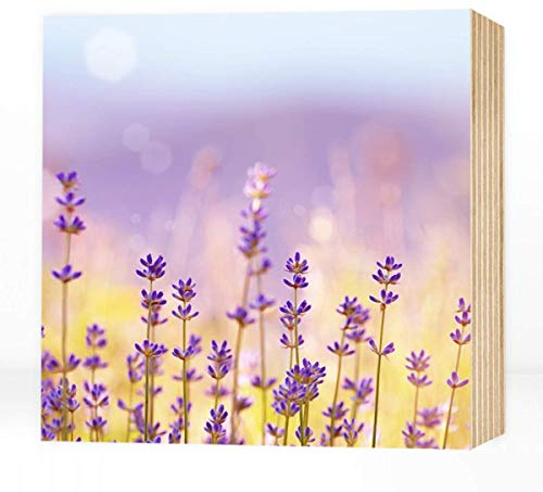Wunderpixel® Holzbild Lavendel - 15x15x2cm zum Hinstellen/Aufhängen, echter Foto-Druck auf Holz - Wand-Bild Aufsteller zur Dekoration oder Geschenk für Büro & Zuhause - Blüten Blumen