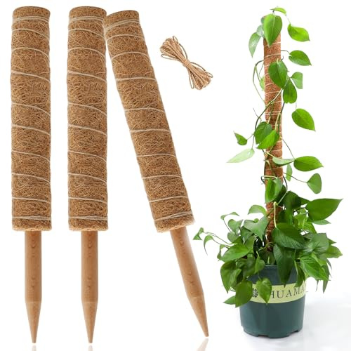 Monstera Lot de 3 mâts en mousse de coco pour plantes grimpantes - Pour intérieur et extérieur - 40 cm