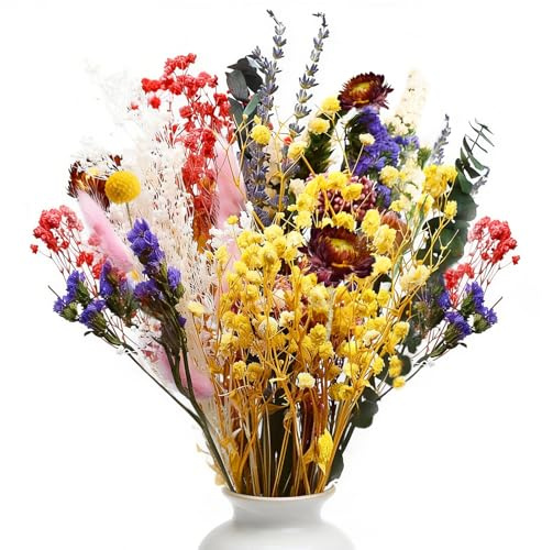 Yiomxhi 32 Pièces Bouquet Fleurs Séchées Naturelles Décoration, Arrangement Floraux Séchés Gypsophile Eucalyptus Lavande Plante Décor pour Rustique Boho Table Maison Salon Mariage