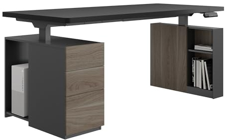 FLEXISPOT Scrivania Regolabile in Altezza 120x60 cm Elettrica Premium con Mobile Laterale Modulare, Stile Elegante per Ufficio Direzionale e Studio Professionale, con Cassetti e Vano PC Fisso