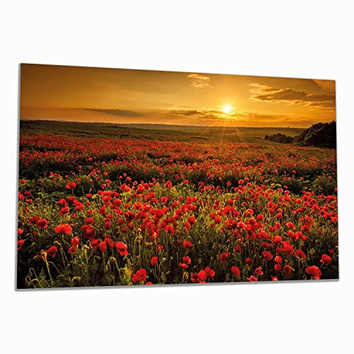 Wallario Herdabdeckplatte/Spritzschutz aus Glas, 1-teilig, 90x52cm, für Ceran- und Induktionsherde, Mohnblumenwiese bei Sonnenuntergang am Abend